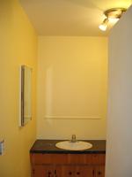 lower bathroom reno 2010